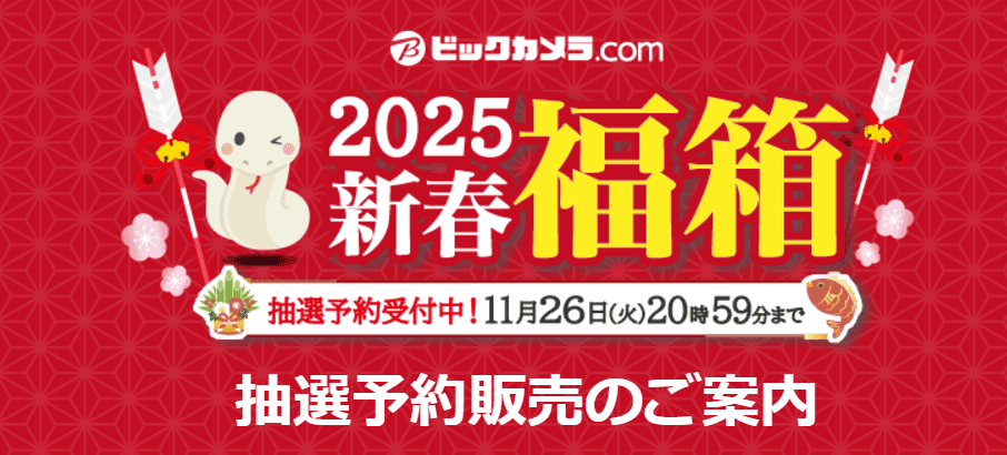 ビックカメラ2025年福袋